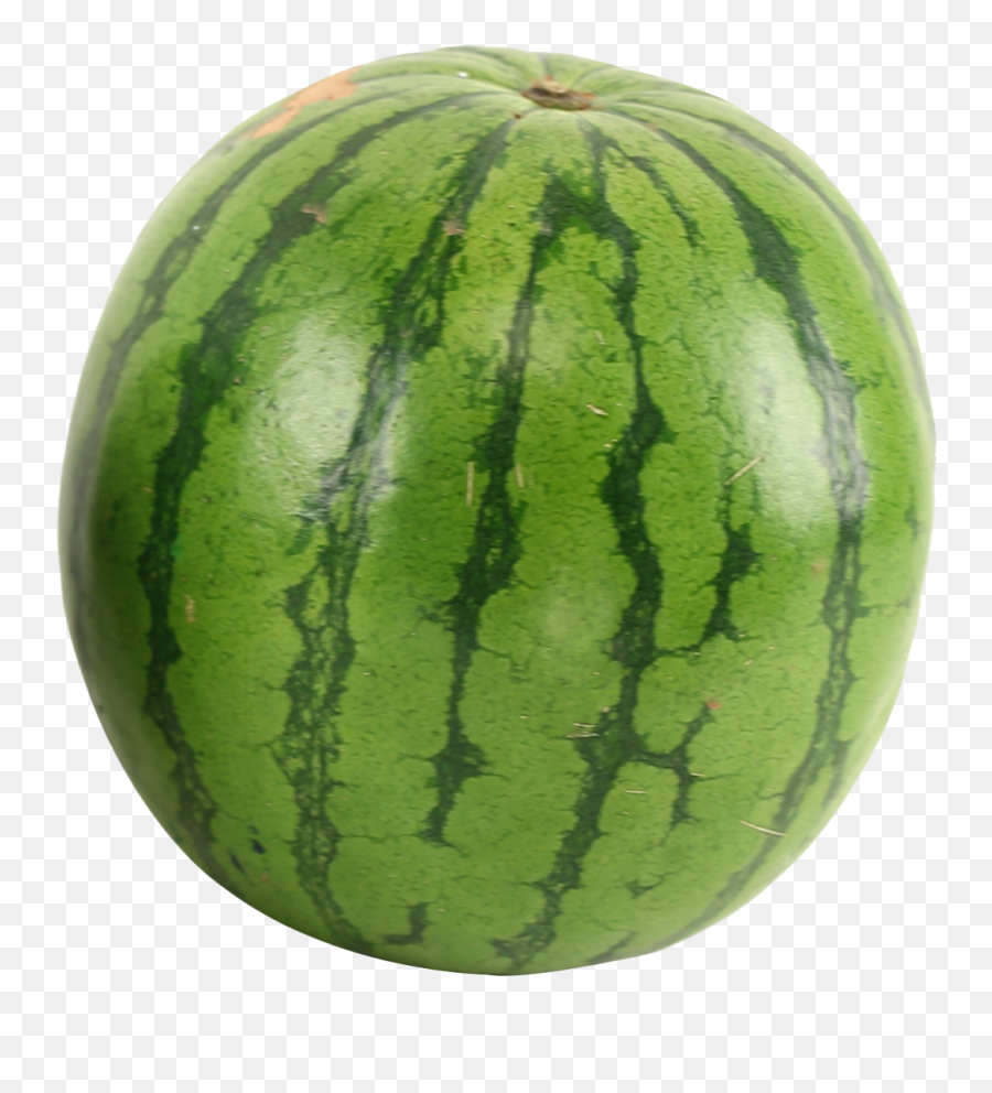 Free Watermelon Transparent Download Free Clip Art Free - Watermelon Png Emoji,Melon Emoji