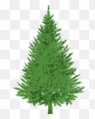 Clipart forest evergreen tree - Fir Tree Emoji