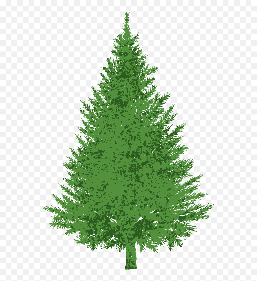 Clipart Forest Evergreen Tree Clipart Forest Evergreen Tree - Fir Tree Clipart Emoji,Pine Tree Emoji