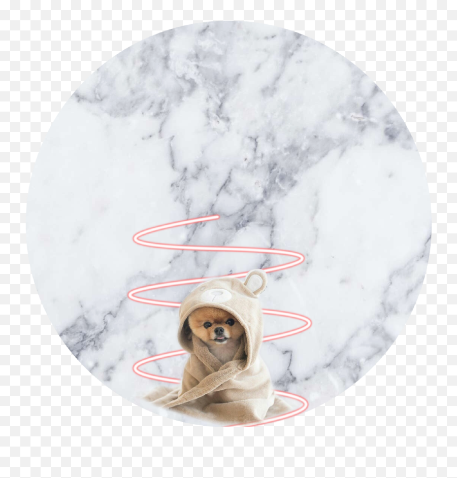 Jiffpom Sticker Emoji,Jiffpom Emoji