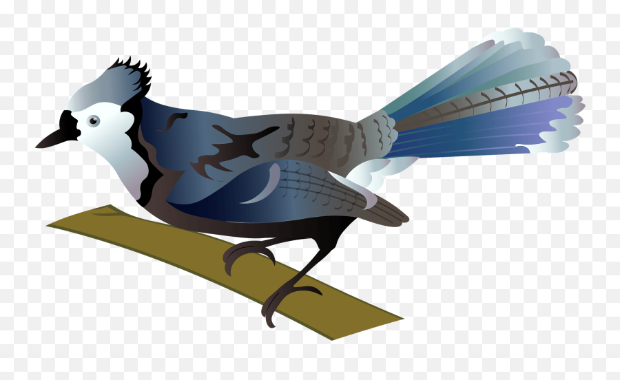 Blue Jay Clipart - Phasianidae Emoji,Blue Jays Emoji