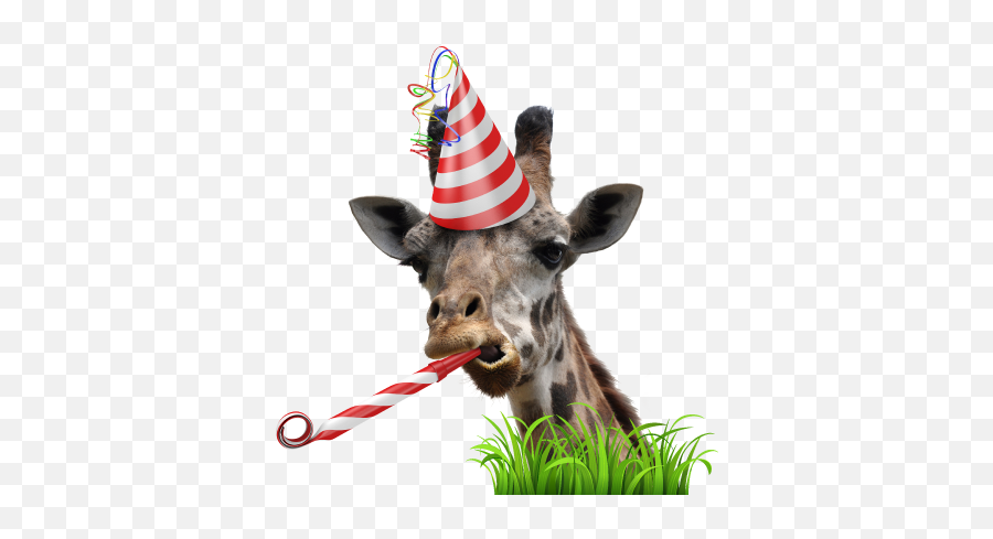 Live Giraffes - Party Animal Emoji,Giraffe Emoji.com