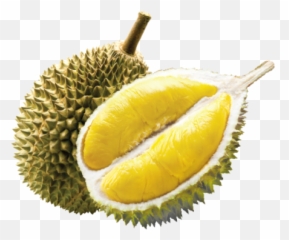 Fruits Durian Transparent u0026 PNG Clipart Free Download - YWD Emoji