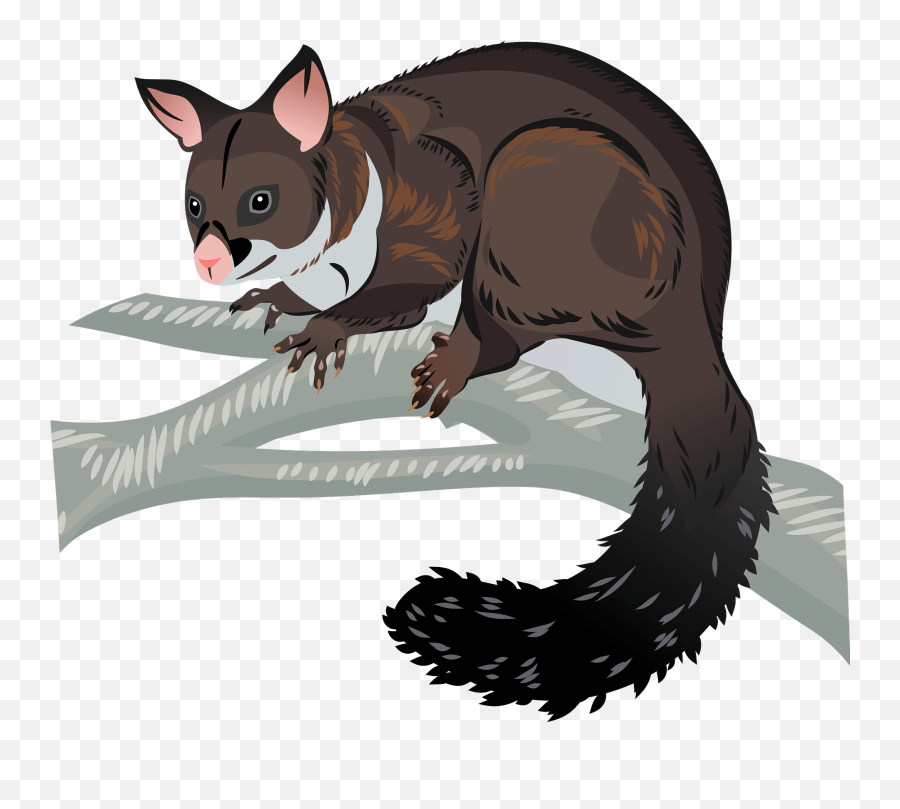 Brushtail Possum Clipart - Paw Emoji,Possum Emoji