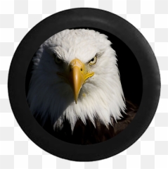 Spare Tire Cover Staring American Bald - Eagle Quotes About Life Emoji,Bald Eagle Emoji