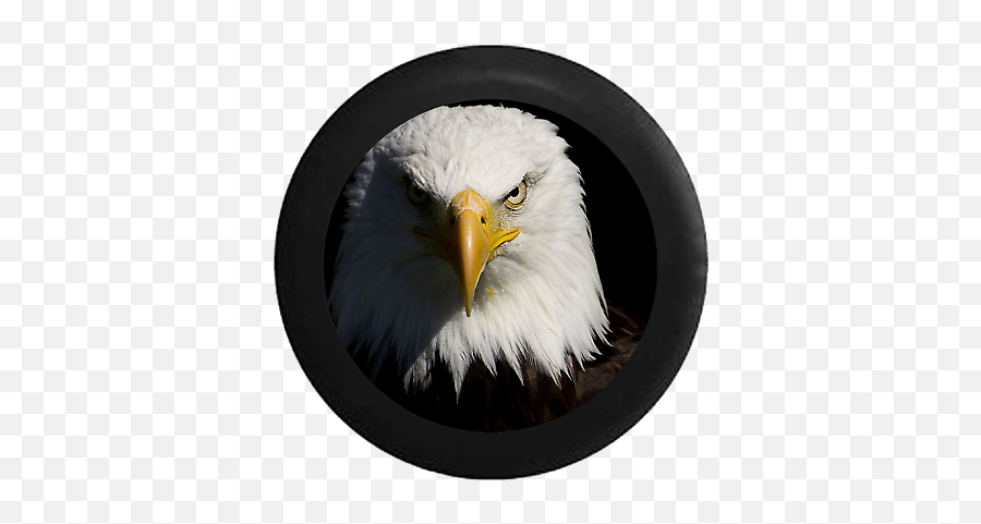 Spare Tire Cover Staring American Bald - Eagle Quotes About Life Emoji,Bald Eagle Emoji