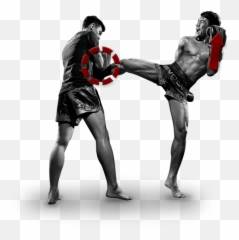Boxing Kickboxing Boxer Kickboxer - Muay Thai Png Emoji,Boxer Emoji