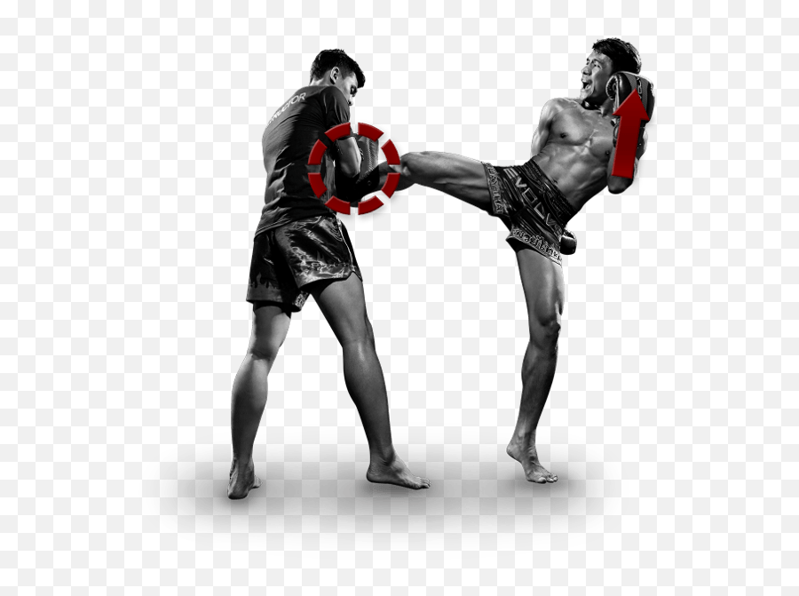 Boxing Kickboxing Boxer Kickboxer - Muay Thai Png Emoji,Boxer Emoji