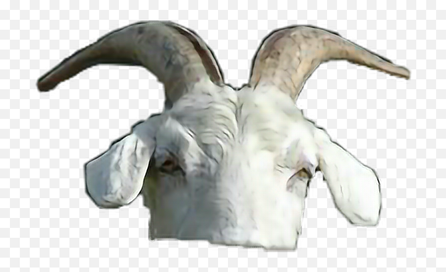 Goat Head Animals Rot Southerngothic Emoji,Goat Head Emoji