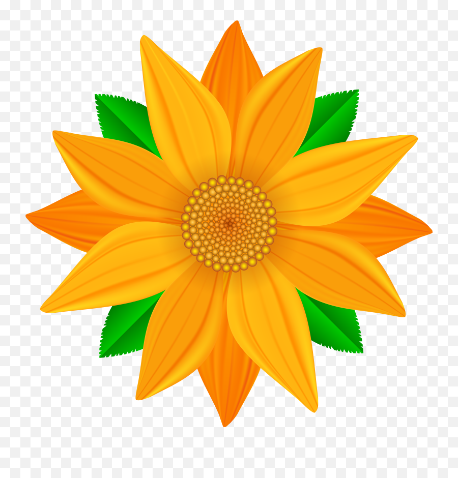 Orange Flowers Clipart - Clipart Flower Png Emoji,Orange Flower Emoji