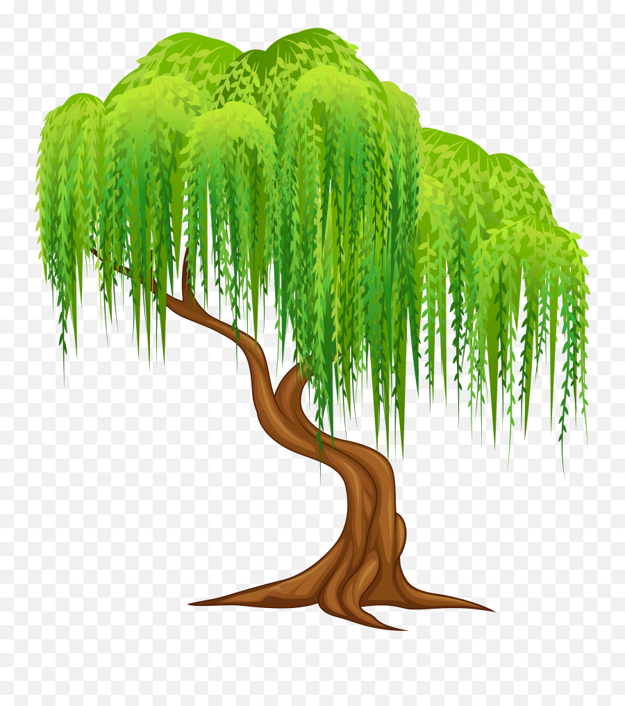 Tree Png Cartoon - Willow Tree Clipart 1352003 Vippng Transparent Background Willow Tree Clipart Emoji,Pine Tree Emoji Tree Png Cartoon - Willow Tree Clipart 1352003 Vippng Transparent Background Willow Tree Clipart Emoji,Pine Tree Emoji