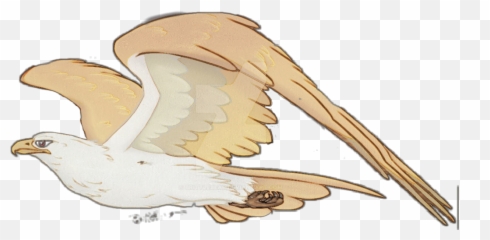 Baldeagle Eagle Bird Fly - Chicken Emoji