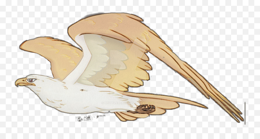 Baldeagle Eagle Bird Fly - Chicken Emoji,Hand Chicken Emoji