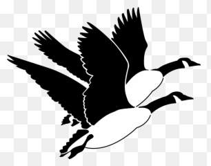 Geese Birds Flying Wings Fly - Geese Clip Art Emoji,Chicken Wings Emoji
