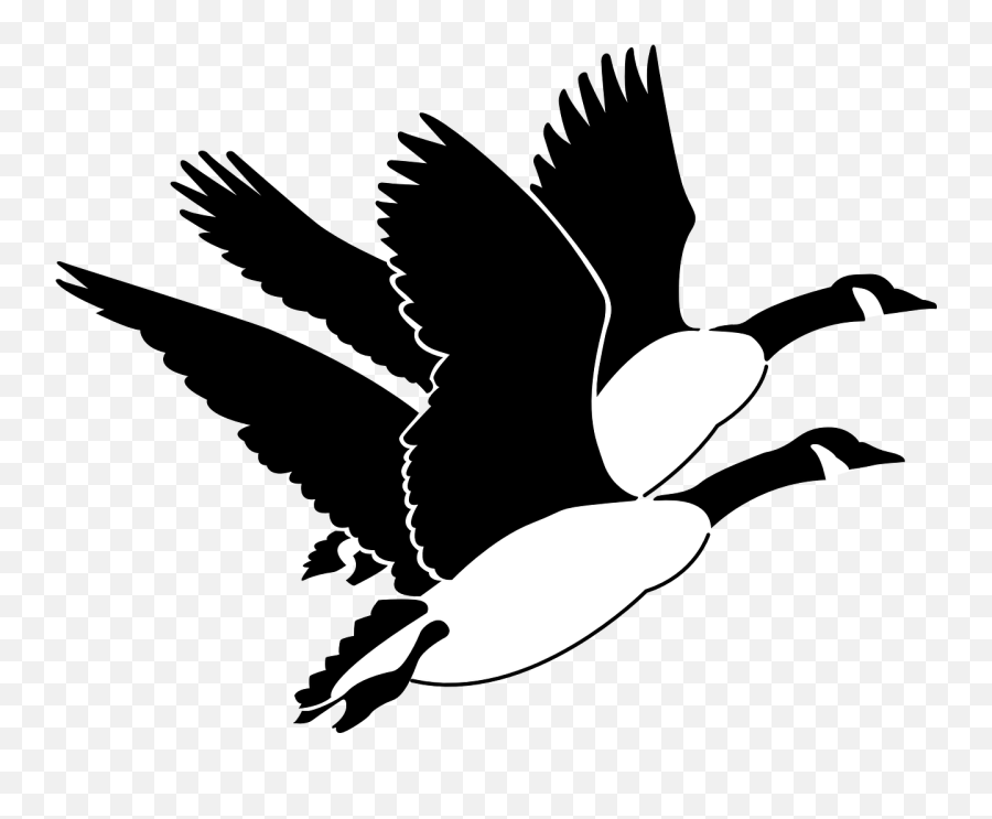 Geese Birds Flying Wings Fly - Geese Clip Art Emoji,Chicken Wings Emoji