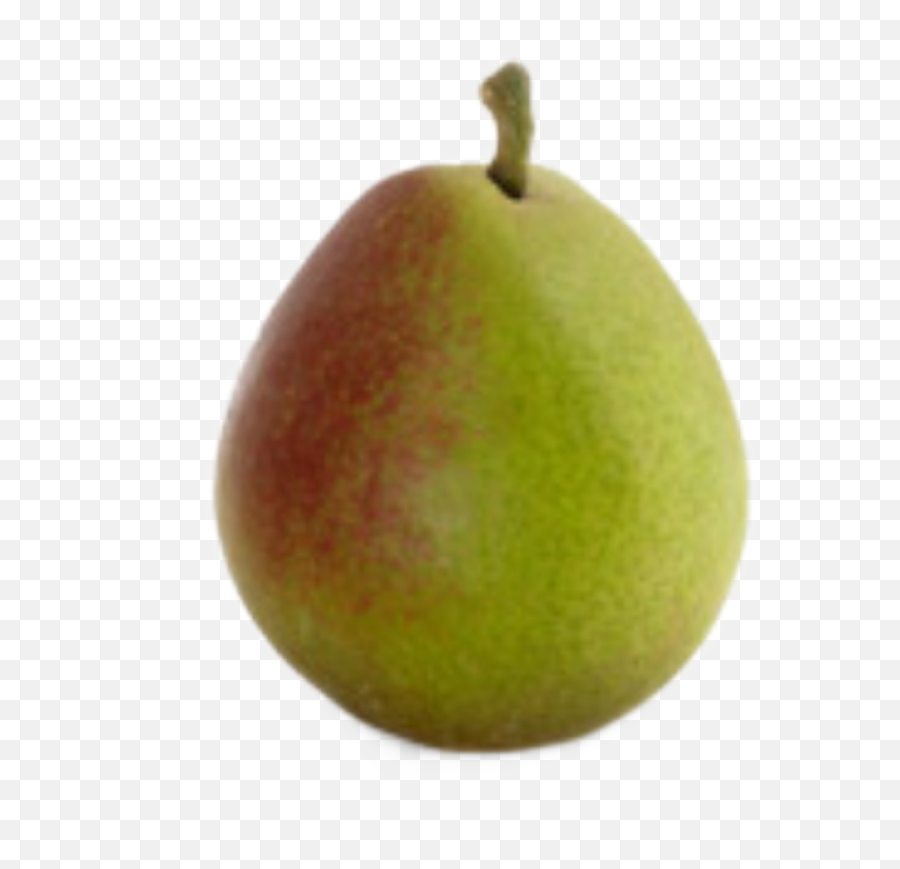 Pear Boi - Asian Pear Emoji,Pear Emoji