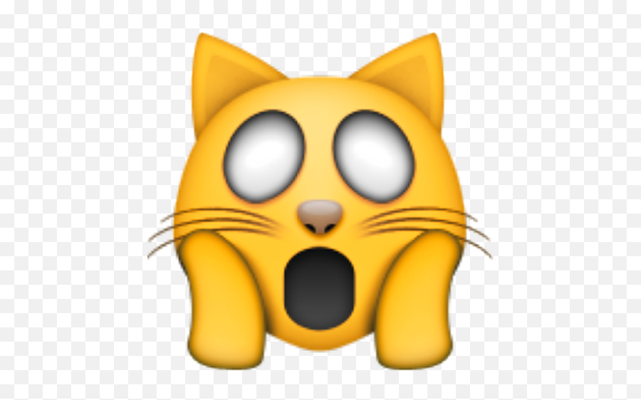 Das Bedeuten Die Emojis - Omg Cat Emoji,Angst Emoji