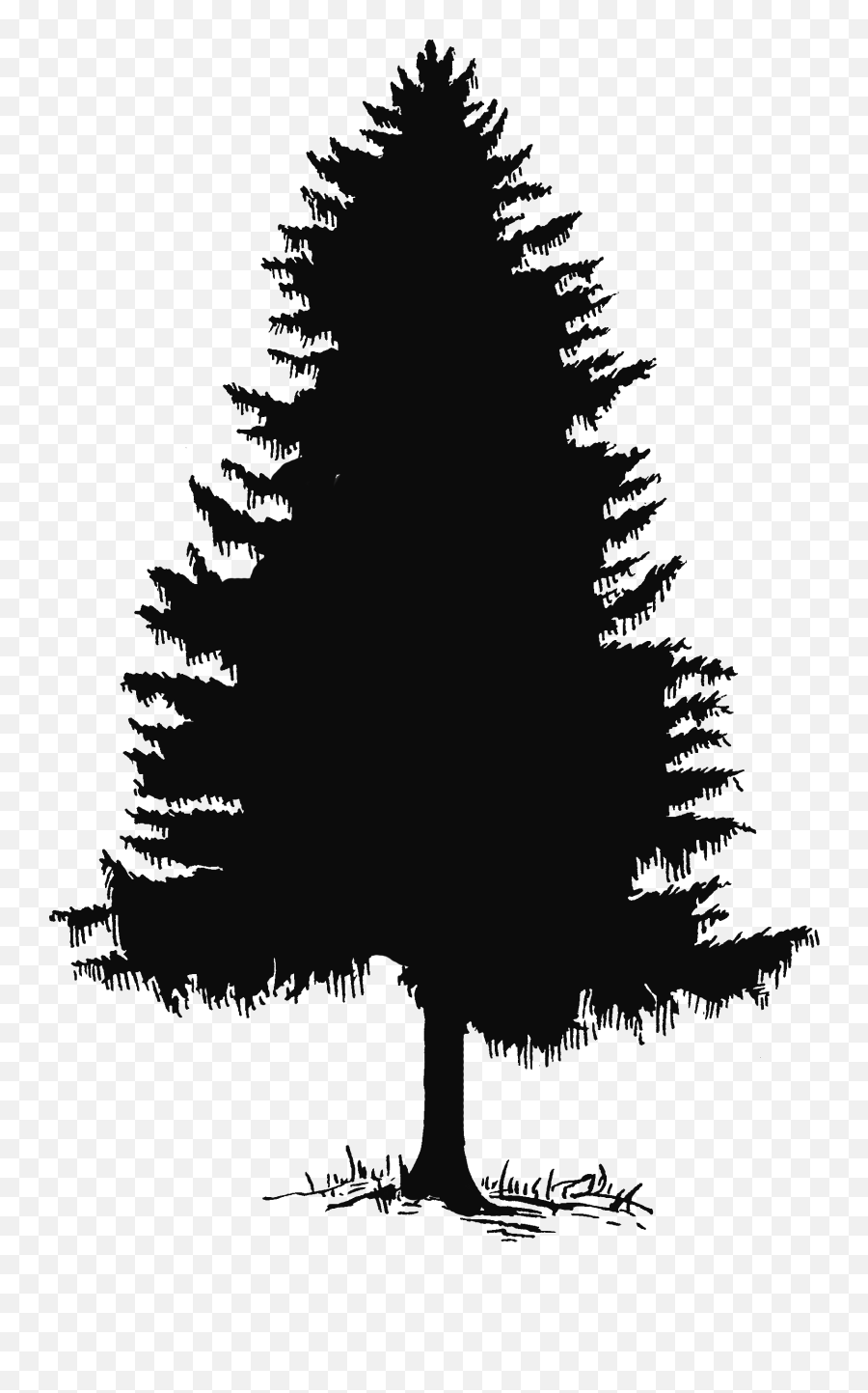 Evergreen Tree Pine Silhouette Clip Art Emoji,Pine Tree Emoji
