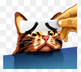 Meme cat by Sergey Voysyat - Sticker Emoji