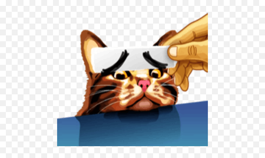 Meme Cat By Sergey Voysyat - Sticker Emoji,Sunglasses Emoji Meme