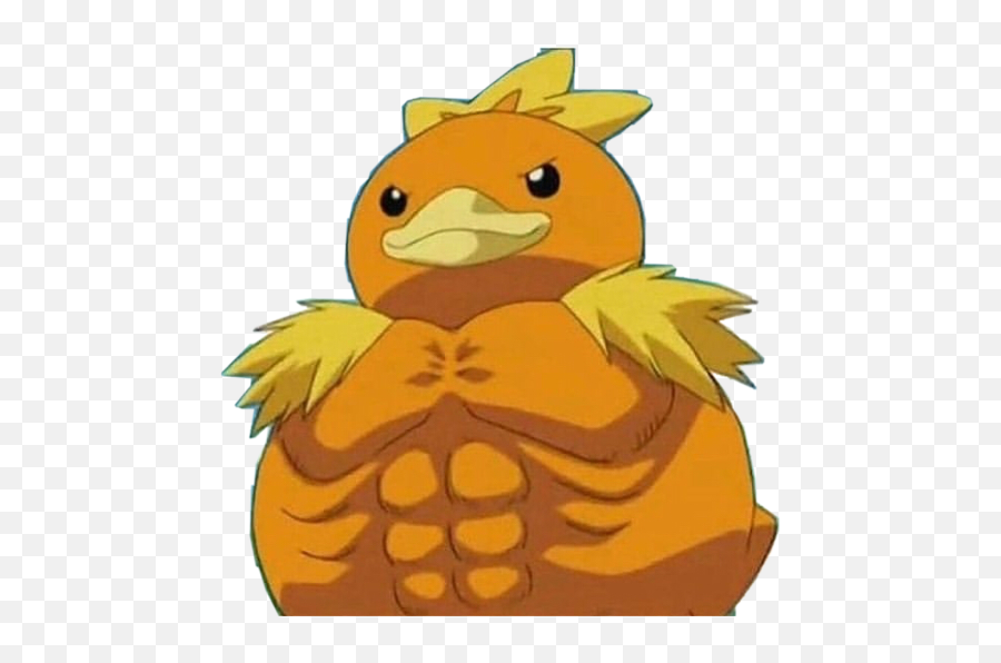 Buff Torchic Pokemon Funny Memes - Buff Torchic Emoji,Buff Emoji - free ...