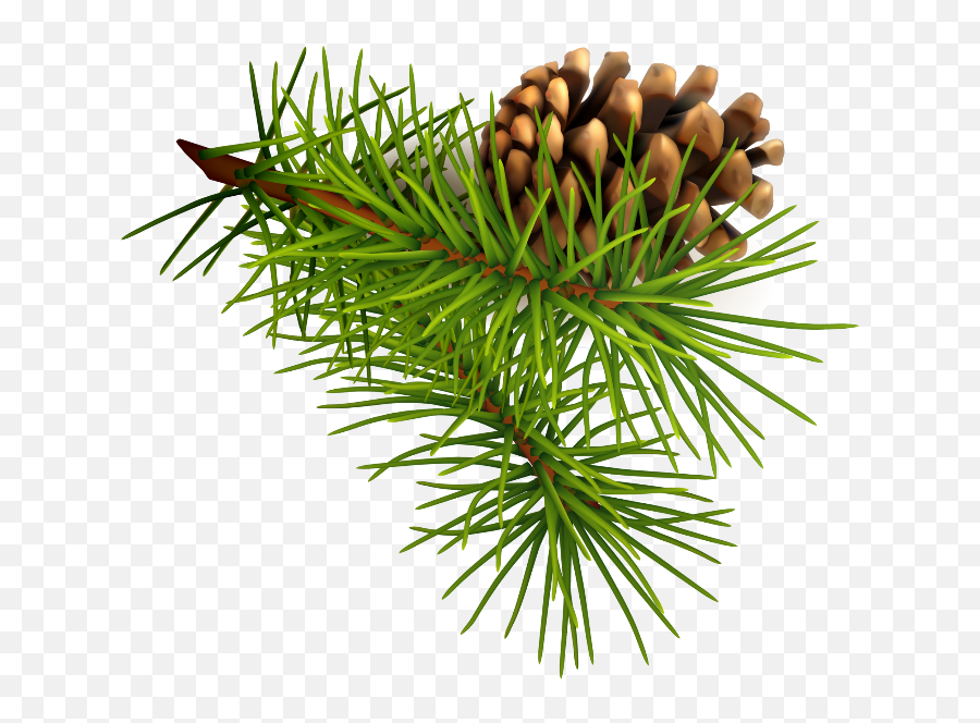 Pinecone Auntum Decoration Nature - Pine Cone Green Png Emoji,Pinecone Emoji