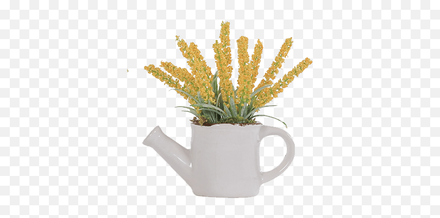 Gifts Royeru0027s Flowers And Gifts - Flowers Plants And Artificial Flower Emoji,Frog And Coffee Cup Emoji