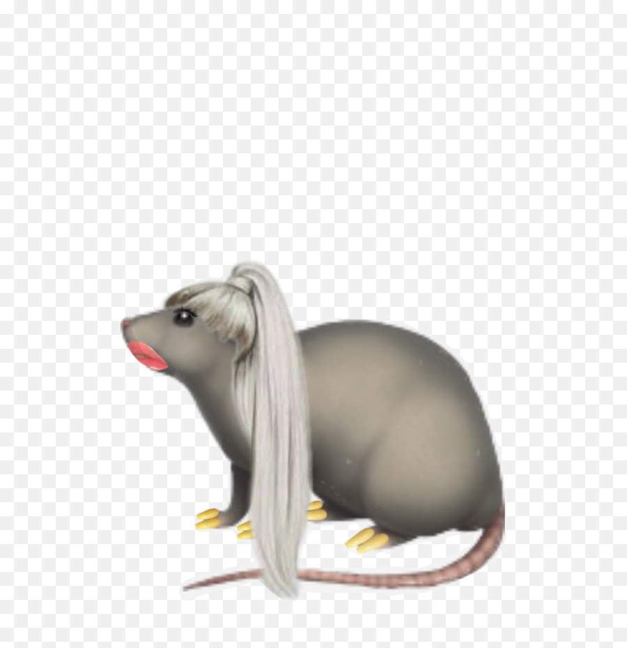 Rat Emoji Uglyedit Ugly Sticker - Animal Figure,Rat Emoji