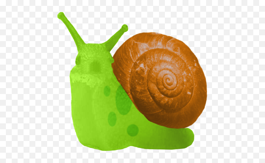 Snaily Art - Snail Emoji,Snail Emoji