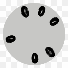 Sarah Ortmeyer - Dot Emoji