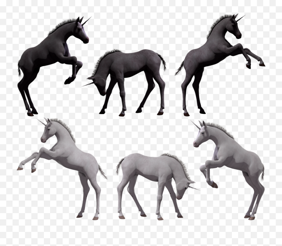 Unicorn Foal Colt - Foal Emoji,Hand Horse Horse Emoji