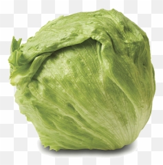 The Best Free Lettuce Icon Images - Head Of Lettuce Emoji,Lettuce Emoji