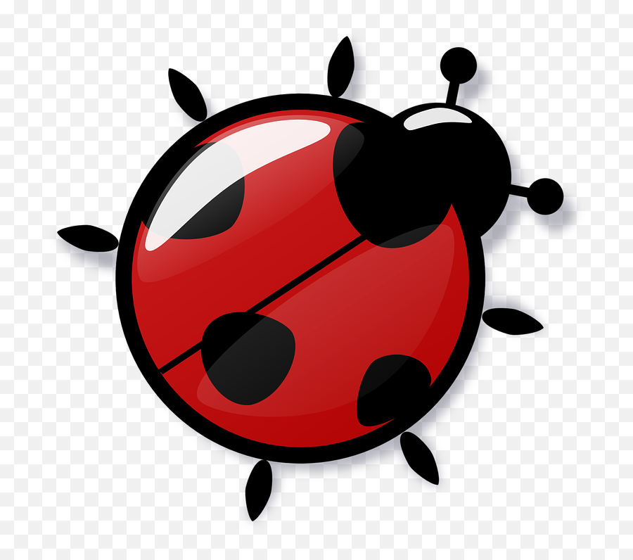 Download Free Png Ladybug Red Reflection 4 - Ladybird Icon Emoji,Ladybug Emoji