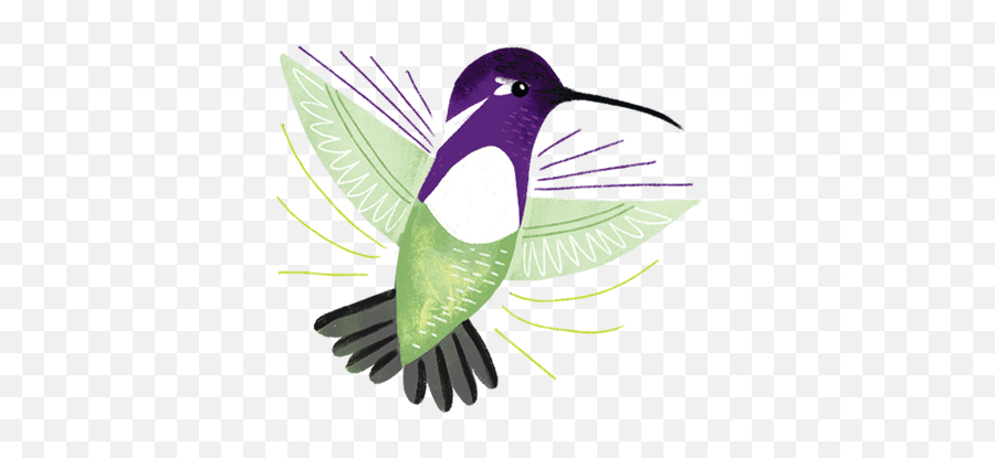 Texas Birds Sticker Pack - Hummingbird Emoji,Hummingbird Emoji