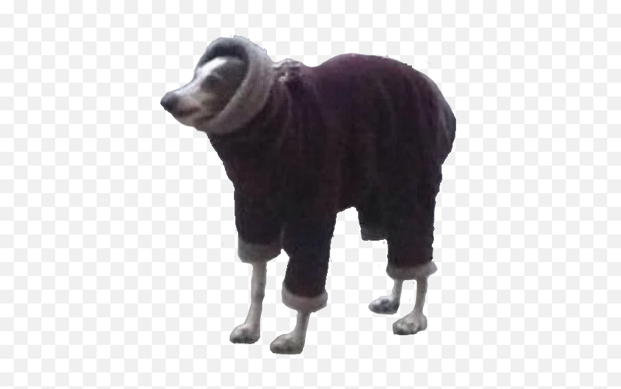 Scrungus - Animals Wearing Clothes Cursed Emoji,Sheep Emoji