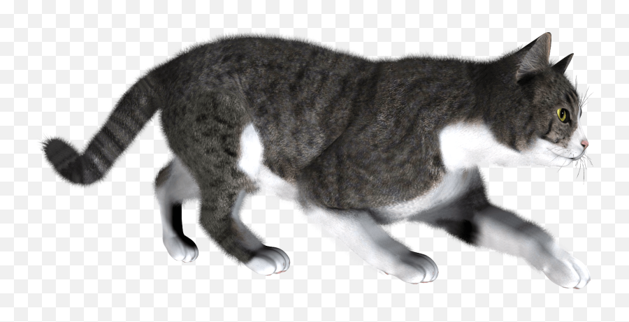 Kittens Clipart Gray Cat Kittens Gray Cat Transparent Free - Transparent Cat Walking Png Emoji,Grey Cat Emoji