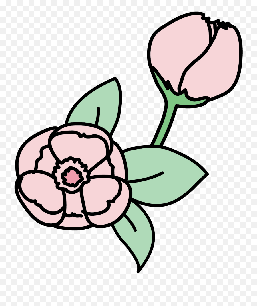 Topic For Blooming Flower Animated Gif Succulent Clipart - Flower Blooming Animation Gif Emoji,Blossom Emoji