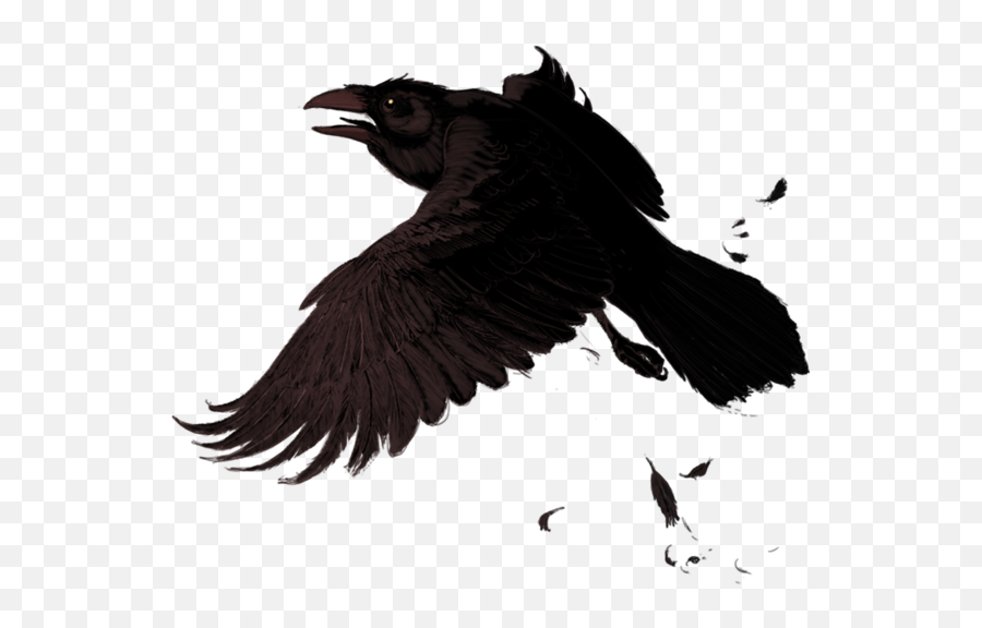 Crow Bird Birds Animals Animal Feather Flybadluck Fte - Crows Emoji,Crow Emoji