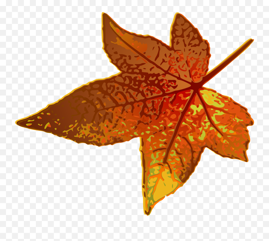 Maple Leaf Brown Fall Yellow - Png Art Watercolor Leaves Emoji,Falling Leaves Emoji
