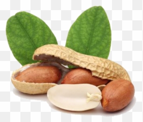 Meaning Of Some Emoji - Patanjali Virgin Groundnut Oil,Hazelnut Emoji