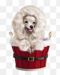 Poodle Clip Maltese Picture - Christmas Poodle Png Emoji,Maltese Emoji