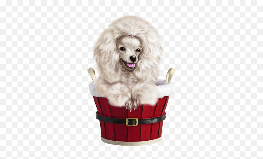Poodle Clip Maltese Picture - Christmas Poodle Png Emoji,Maltese Emoji