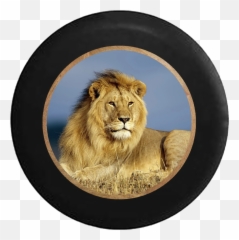Standard Animal Tire Covers U2013 Page 7 U2013 Tirecoverpro - Lion Wallpaper Desktop Hd Emoji,Cougar Emoji