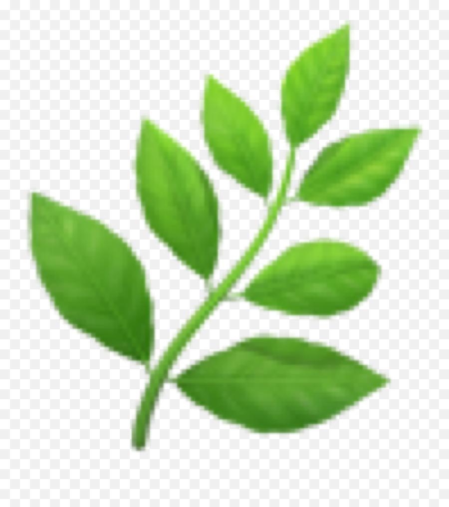 Green Plant Emoji Cute Emojis Leaf - Transparent Herb Emoji,Branch Emoji