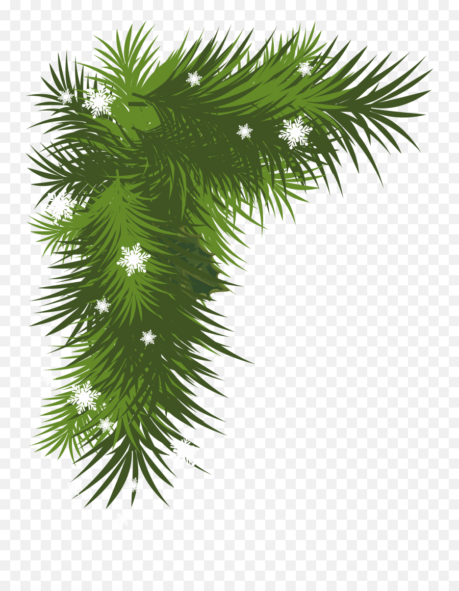 Shortstraw Pine Png U0026 Free Shortstraw Pinepng Transparent - Christmas Leaf Vector Png Emoji,Pine Tree Emoji