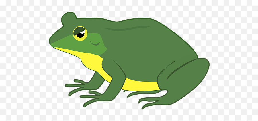 90 Free Toad U0026 Frog Illustrations - Pixabay Png Emoji,Toad Emoji