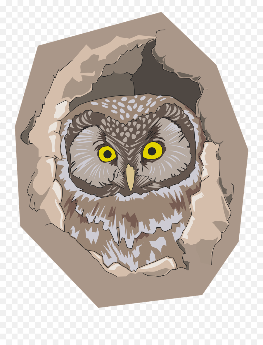 Hole Nature Owl Free Vector Graphics - Owl Emoji,Drake Owl Emoji