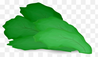 Vegetable Clipart Lettuce Picture - Feuille De Salade Png Emoji,Lettuce Emoji