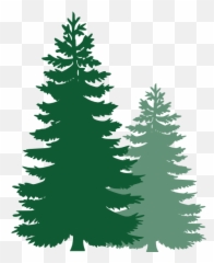 Transparent Pine Tree Clipart - Vector Pine Trees Png Emoji,Pine Tree Emoji