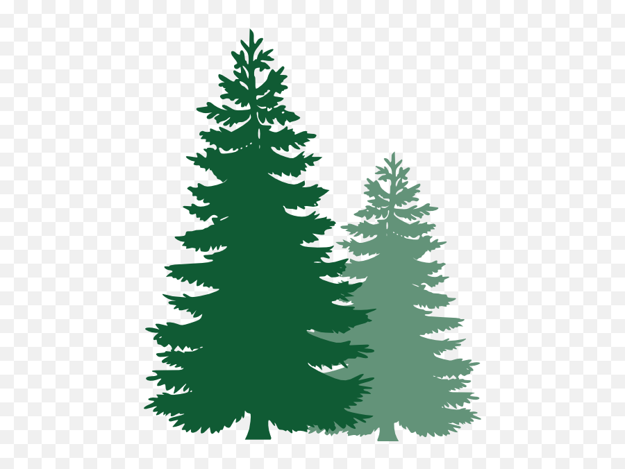 Transparent Pine Tree Clipart - Vector Pine Trees Png Emoji,Pine Tree Emoji